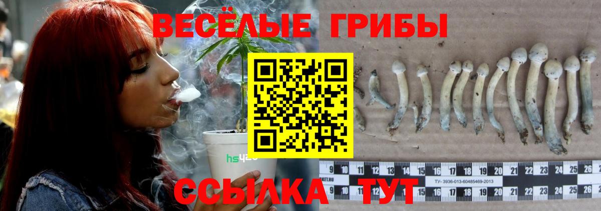 Галлюциногенные грибы мицелий Зеленодольск